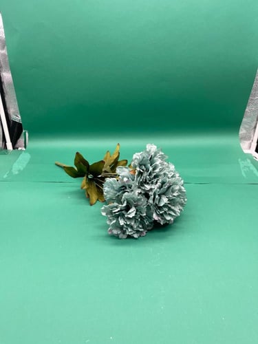 بنشات قرنقل كبير