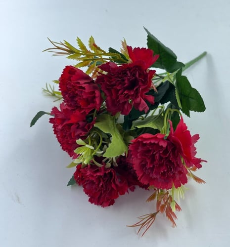 ربطات قرنفل -(D1)