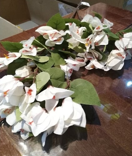 اغصان جهنمية