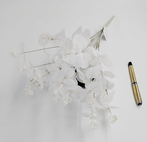 اكليبتوس -(H2)