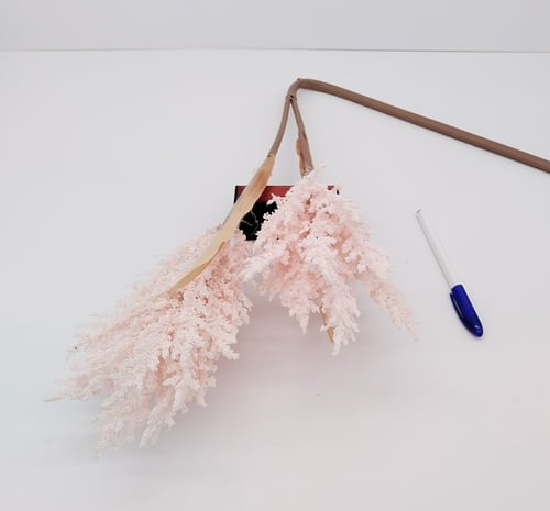 اكسسوار -(F20)