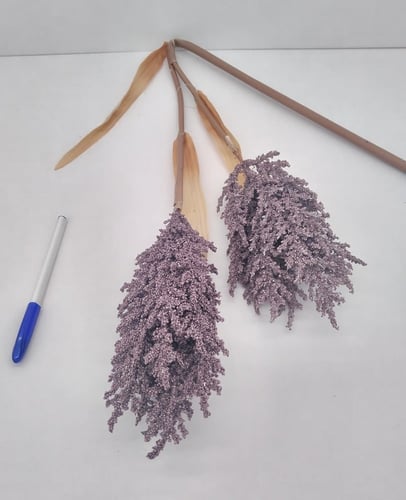 اكسسوار -(F20)