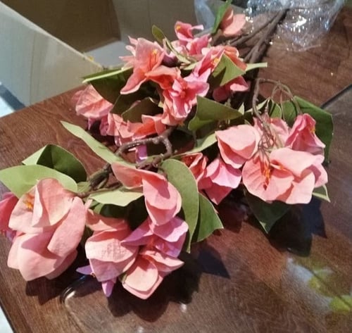 اغصان جهنمية