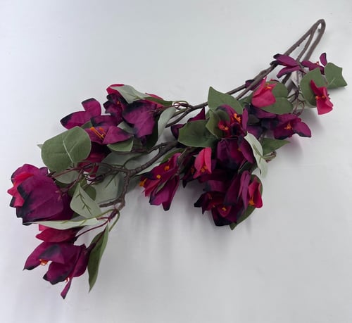 اغصان جهنمية