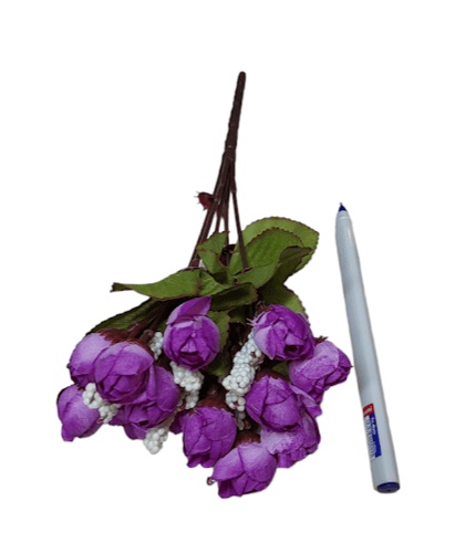 بيبي بيونيا -(A6)