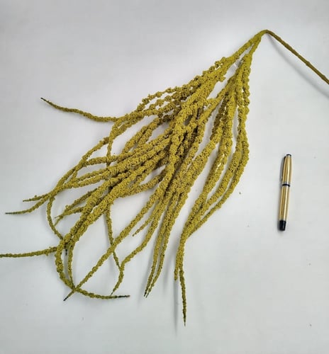 اغصان اكسسوار -(F6)