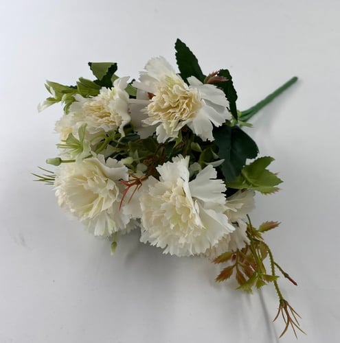 ربطات قرنفل -(D1)