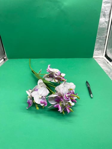 اغصان سمبديوم جلد (E22)