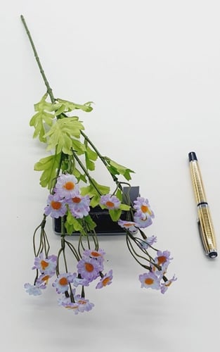 زهرة اللؤلؤ