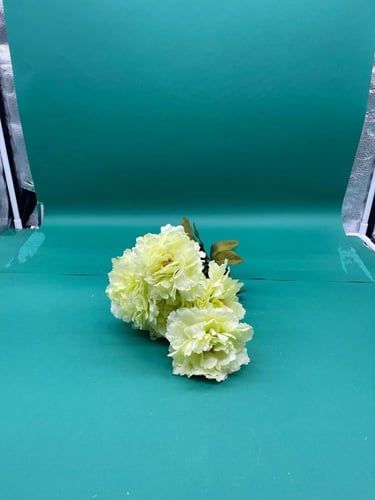 بنشات قرنقل كبير