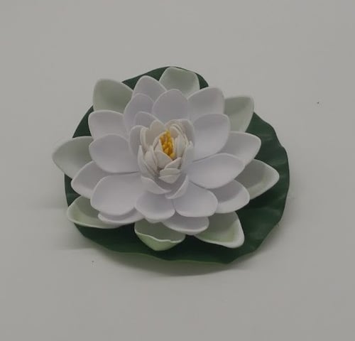 زهرة لوتس - وسط