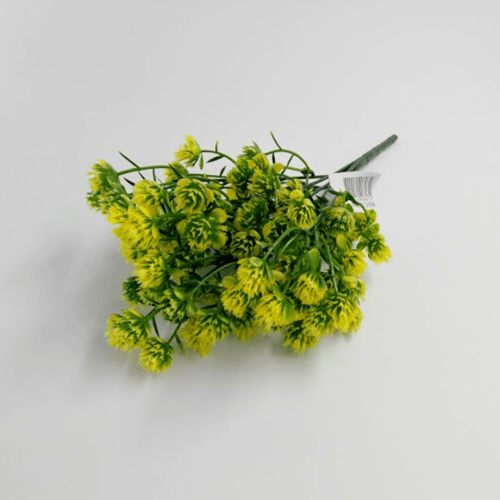 خضار جيموفيرنا