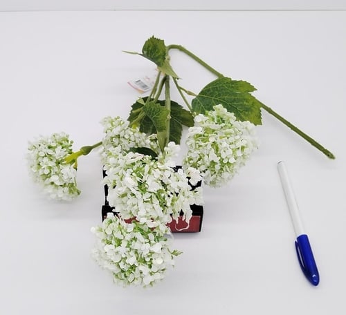 اكسسوار -(F21)