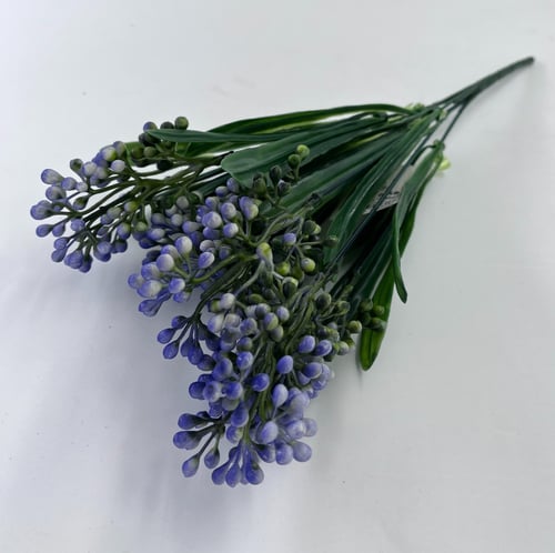 اكسسوار جبسوفيليا