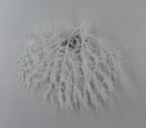 مرجان ابيض صغير