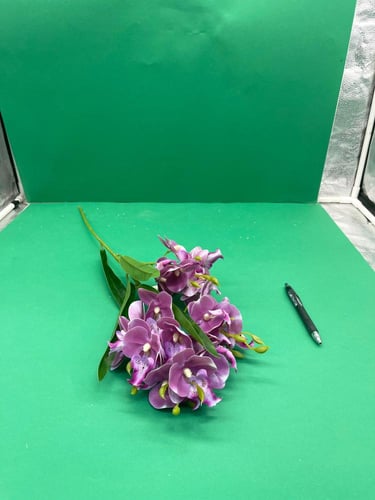 اغصان سمبديوم جلد (E22)