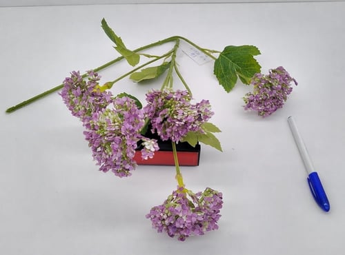 اكسسوار -(F21)