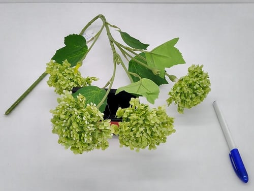 اكسسوار -(F21)