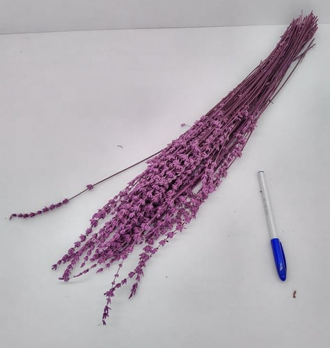 مجففات لافندر