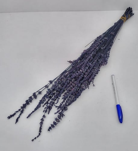 مجففات لافندر