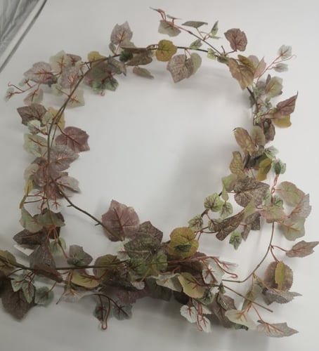 حبال خضار - هيدرا