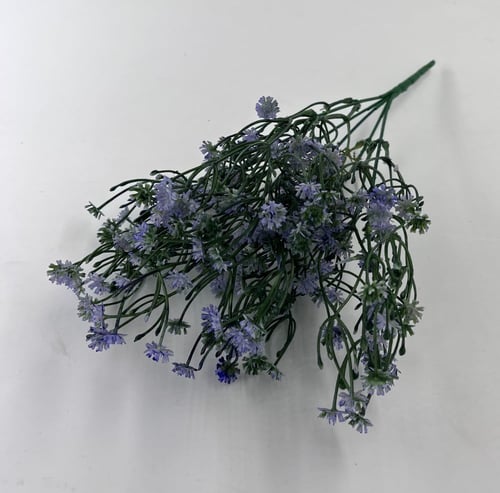 اكسسوار جبسوفيليا