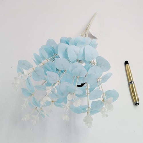 اكليبتوس -(H2)