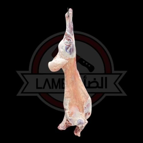 نعيمي كازاخستاني لباني 9 الى 9.5 كيلو