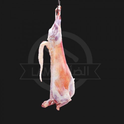 سواكني لباني صغير