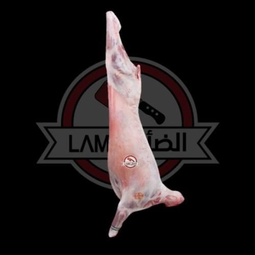 كازاخستاني بدون ليه 5 الى 6 كيلو