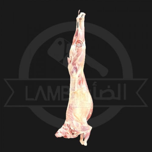 تيس بربري صغير