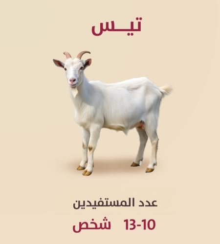 تيس