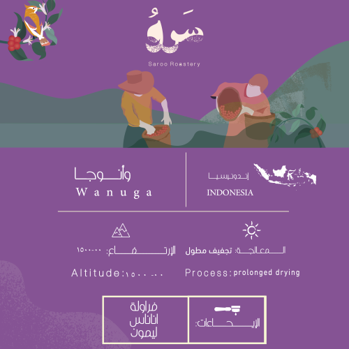 إندونيسيا - وأنوجا