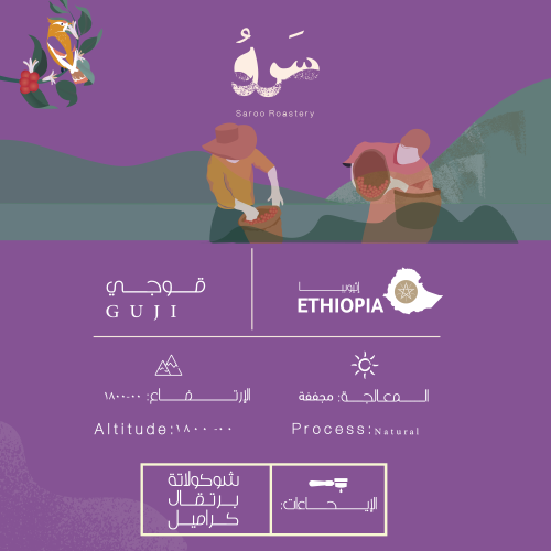 إثيوبيا - قوجي