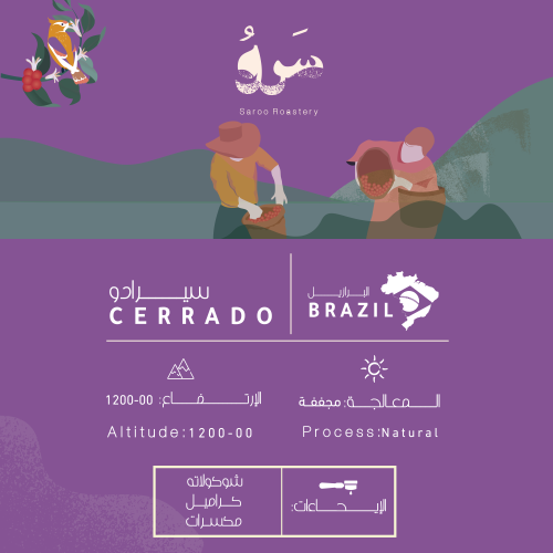 برازيلي - سيرادو