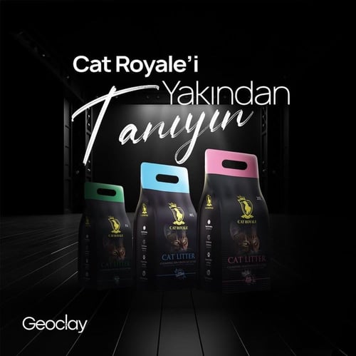 رمل قطط كات رويال