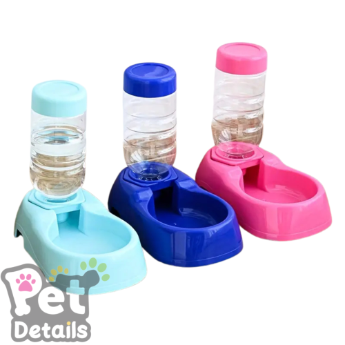 مشربية للقطط