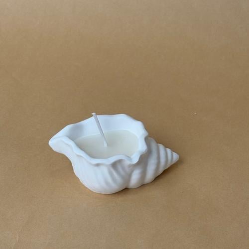 The shell candle