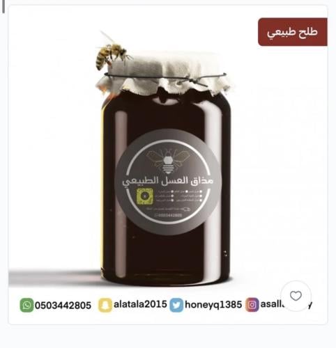 عسل طلح حضرمي