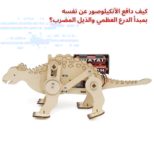 بكج تجارب متنوعة