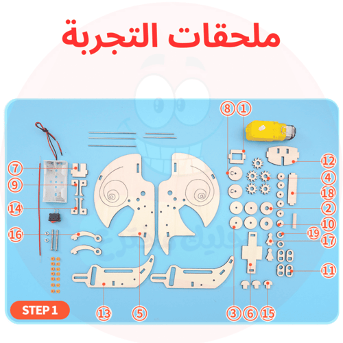 روبوت الحلزون - نموذج علمي STEM للأطفال - للتجارب...