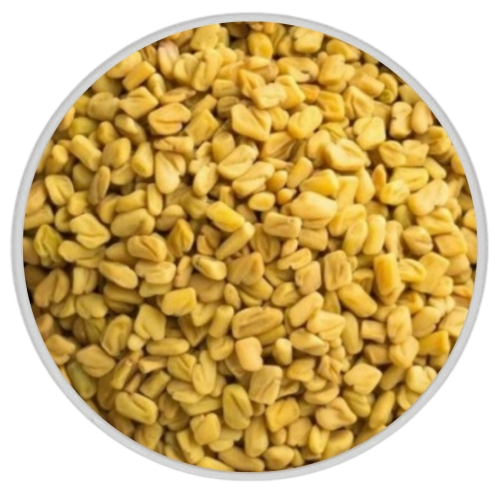 حلبة القصيم