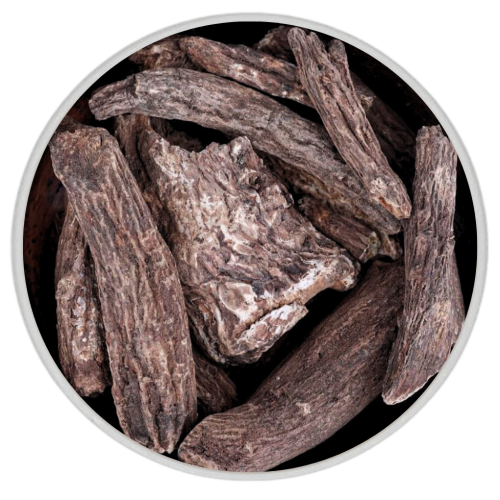 عود قسط هندي