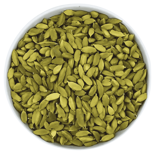 هيل امريكي رقم 2