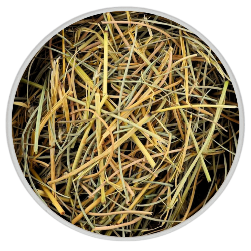 عشبة الاذخر