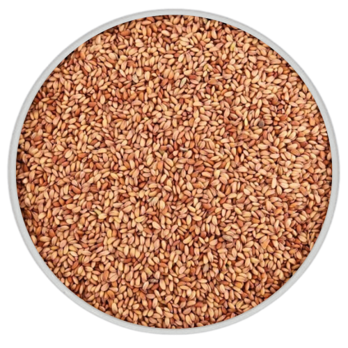 حب الرشاد قصيمي