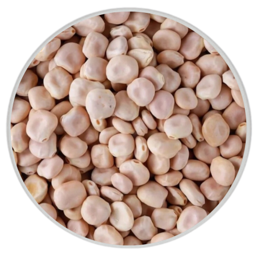 ترمس مر