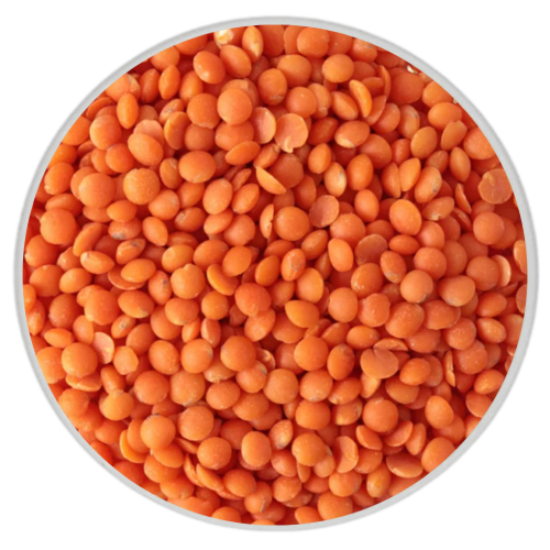 عدس أحمر