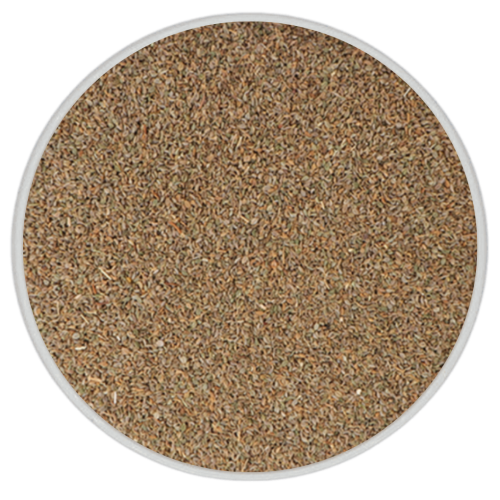 بذور البقدونس