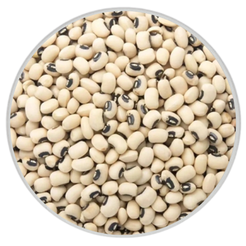 لوبيا